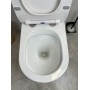 Hani Matte White bRimless Toilet Suite